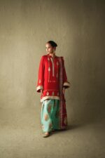 DSC09318 Velvet Designer Pakistani Collection