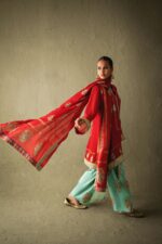 DSC09378 Velvet Designer Pakistani Collection