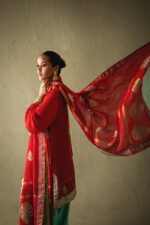DSC09391 Velvet Designer Pakistani Collection