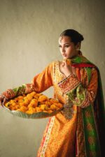 DSC09545 Designer Pakistani Clothing Online