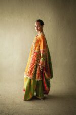 DSC09596 Designer Pakistani Clothing Online