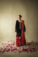 Pakistani Designer Velvet Suit