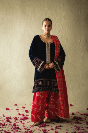 Pakistani Designer Velvet Suit