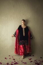 Pakistani Designer Velvet Suit