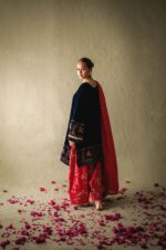 Pakistani Designer Velvet Suit