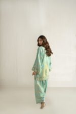 DSC06443 copy sea green ferozi co-ord set
