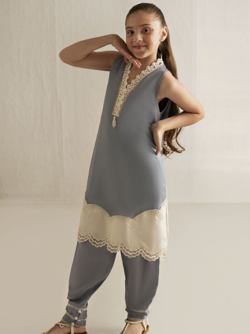 Powder Blue Embroidered Net Suit