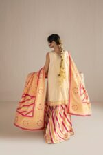 DSC08747 copy beige gharara set