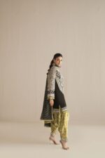 DSC08865 copy black green kurta set