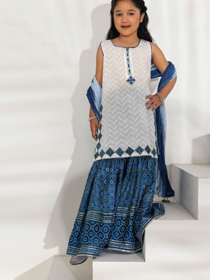Indigo Ajrak Gharara