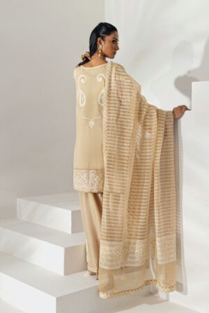 Cream Organza Dupatta Suit