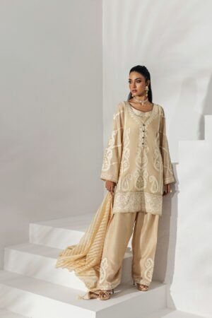 Cream Organza Dupatta Suit