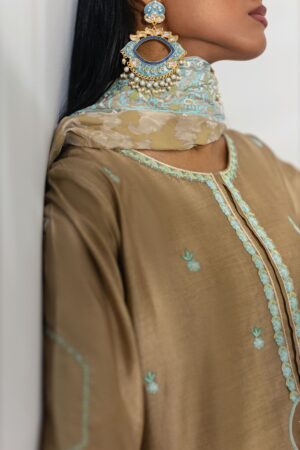 Embroidered Sheesha Silk Tunic