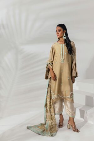 Embroidered Sheesha Silk Tunic