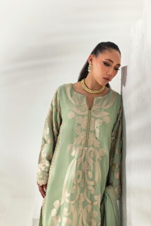 Mint Chiffon Embroidered Suit