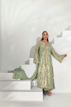 Mint Chiffon Embroidered Suit