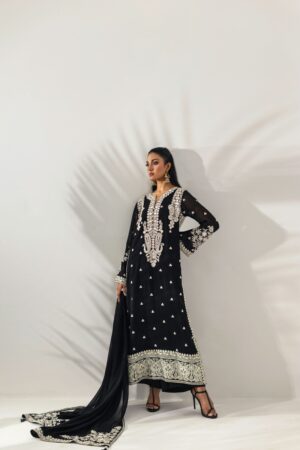 Black Embroidered Chiffon Suit