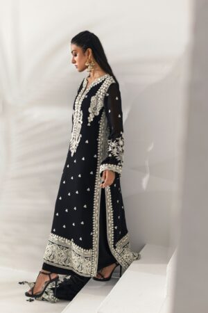 Black Embroidered Chiffon Suit